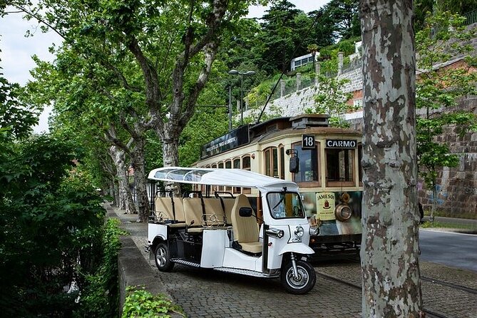 2 Hour Discover Gaia on a Private Eco-Friendly Tuk Tuk Tour - Why a 2-Hour Tuk-Tuk Around Gaia Works So Well