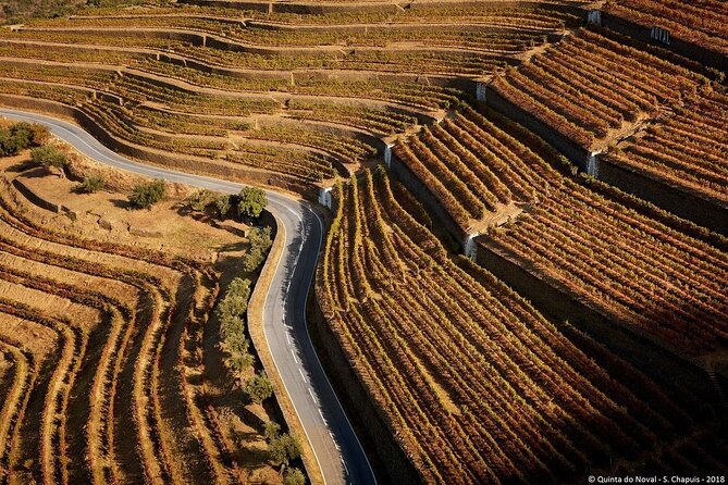 4×4 Douro Wine Tasting Private Tour - Key highlights at a glance