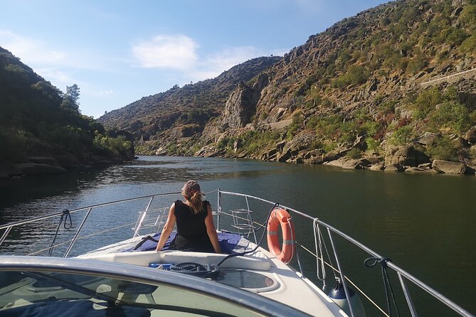 4H Private Boat Trip on the Douro River - Feel the Nature - End at the marina with a dry white port and a local feel