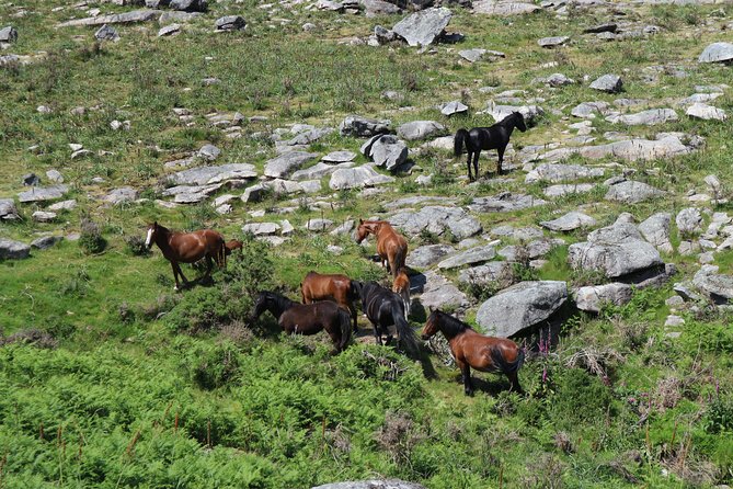 4X4 Private Tour – Mountain - Weather and minimum numbers: how your day can shift