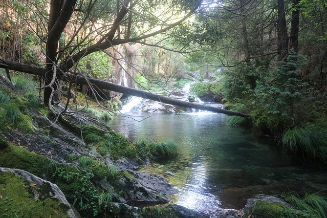 4X4 Tour - Discovering Serra d´ Arga - São João d’Arga Monastery and the meaning behind the scenery