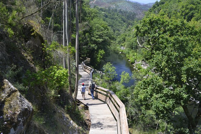 516 Arouca Bridge, Paiva Walkways and Aveiro Tour - What I love about this day trip