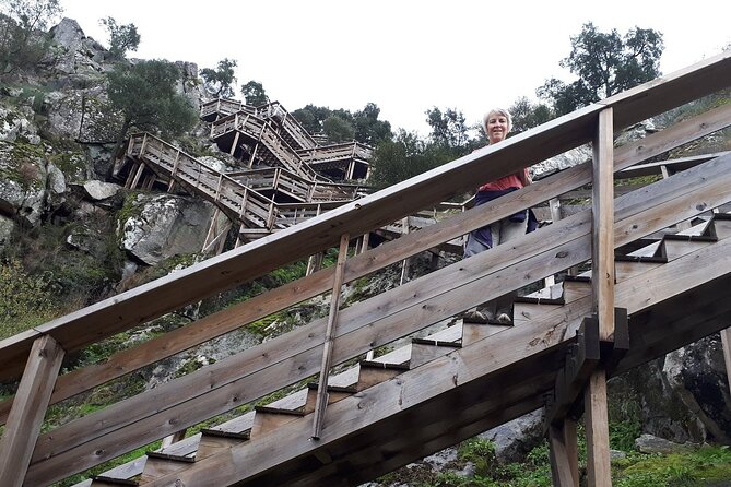 516 Arouca Bridge, Paiva Walkways and Aveiro Tour - Passadicos do Paiva (Paiva Walkways): 4 km of river-side wood with serious stair work