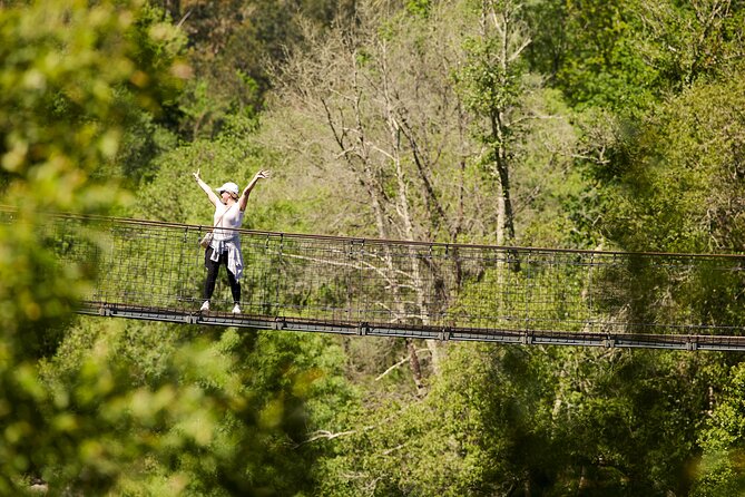 516 Arouca Bridge & Paiva Walkways Tour with Lunch from Porto - Price and value: what you’re really paying for