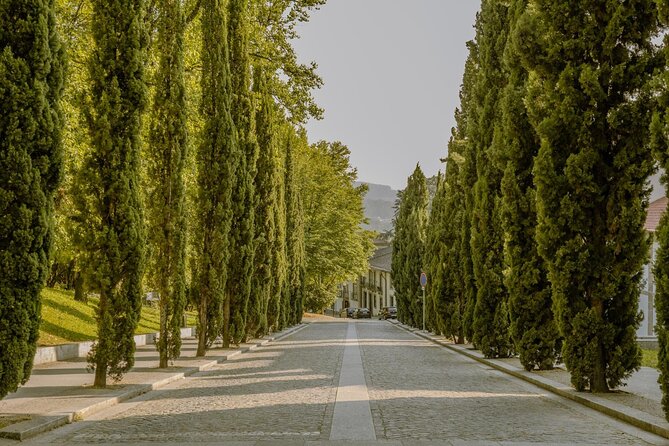 A Guimarães Hidden Gems Walking Tour Experience - Stop 4: Largo da Oliveira and the monastery foundation moment