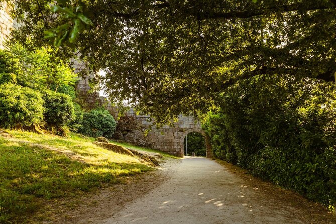 A Guimarães Hidden Gems Walking Tour Experience - Stop 1: Guimarães Castle and why it anchors the story