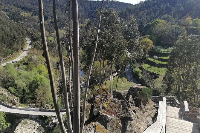 Adventure Paiva Passages: Suspension Bridge and Picnic | Porto - Bridge timing: when you’ll be crossing