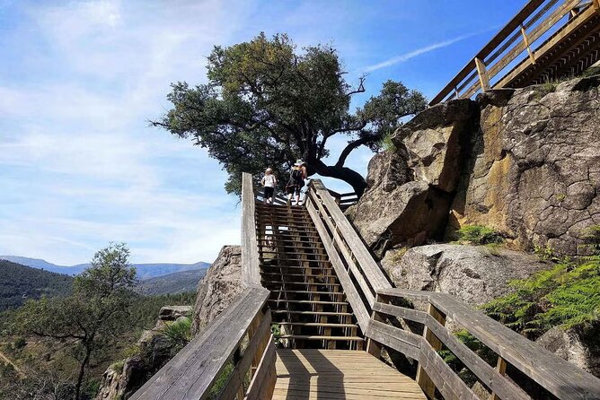 Adventure Paiva Passages: Suspension Bridge and Picnic | Porto - Walking the Passadicos do Paiva at your pace