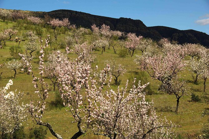Amendoeiras em Flor - What’s included (and why it matters for a day like this)