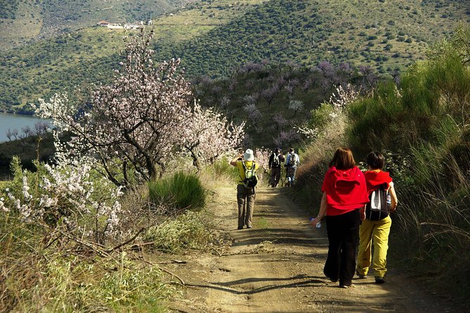 Amendoeiras em Flor - The 8 km hike: how to judge whether it fits you