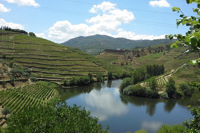 Authentic Douro Valley - small-Group Tour (Max 7) - From Porto’s meeting point to the N222 viewpoint stretch