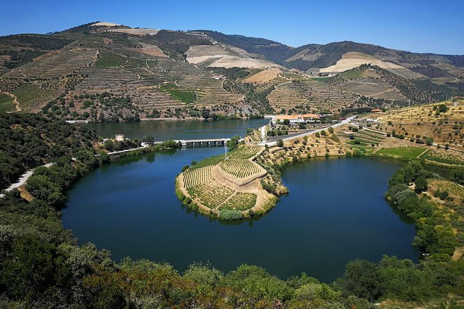 Authentic Douro Valley - small-Group Tour (Max 7) - Lunch in a winery setting (not included): plan for it