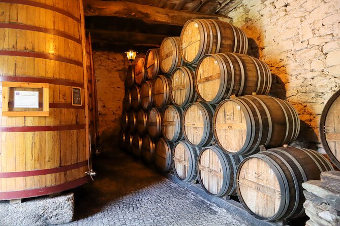 Authentic Small Group Douro Wine Tour with Lunch & River Cruise - The Rabelo cruise: relaxing, scenic, and often the highlight