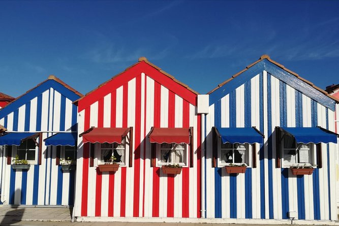 Aveiro and Coimbra Small Group Tour with Moliceiro Boat Cruise - Pickup in Porto, small group comfort, and why timing matters
