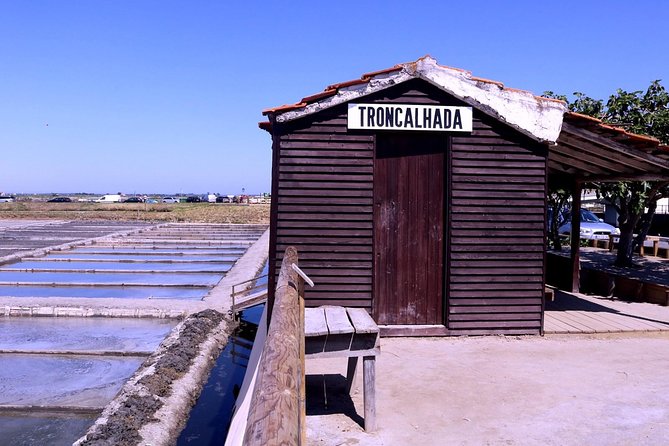 Aveiro and Costa Nova Half Day Tour from Porto with Boat Ride - Who this tour suits best (and who should skip it)