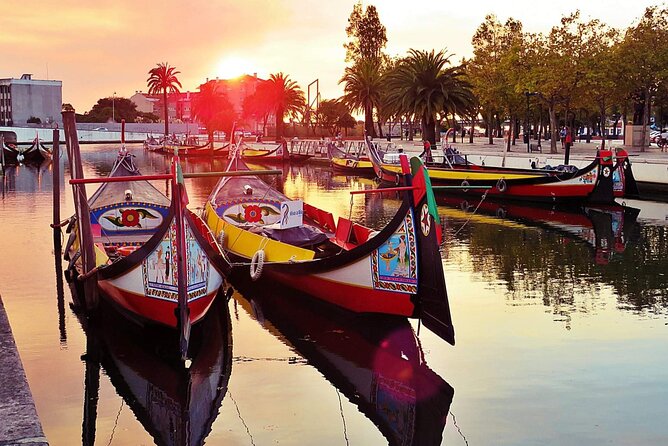 AVEIRO and COSTA NOVA Private Full Day Tour from Porto - Key highlights at a glance
