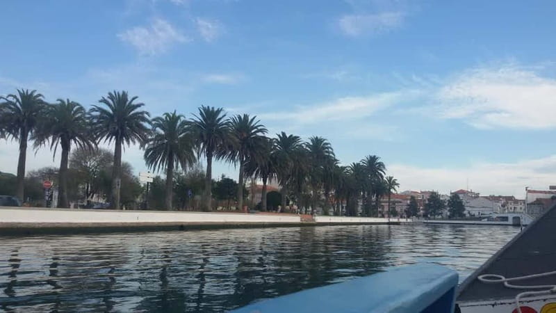 Aveiro & Coimbra Small Group Tour with Moliceiro Boat Cruise - Key things to know before you go