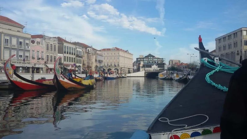 Aveiro & Coimbra Small Group Tour with Moliceiro Boat Cruise - The air-conditioned van ride from Porto to Aveiro