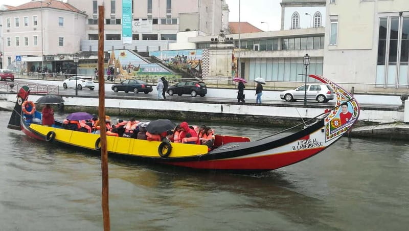 Aveiro & Coimbra Small Group Tour with Moliceiro Boat Cruise - Salt ponds and New Coast striped houses: what to watch for