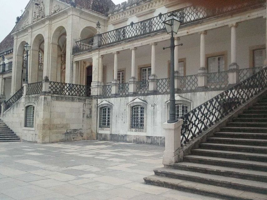 Aveiro & Coimbra Small Group Tour with Moliceiro Boat Cruise - Getting back to Porto without the hassle