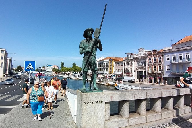 Aveiro & Costa Nova Private Tour – Canals & Striped Houses - Reserva Natural de São Jacinto: Dunes, Swamps, and Animal-Sanctuary Walks