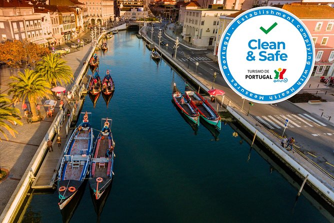Aveiro Half Day Private Tour Porto w/ Moliceiro River Cruise - Key highlights in plain terms