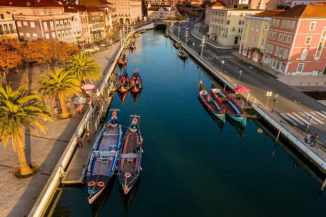 Aveiro Half Day Private Tour Porto w/ Moliceiro River Cruise - Art Nouveau Museum and Mercado do Peixe: fast stops that matter