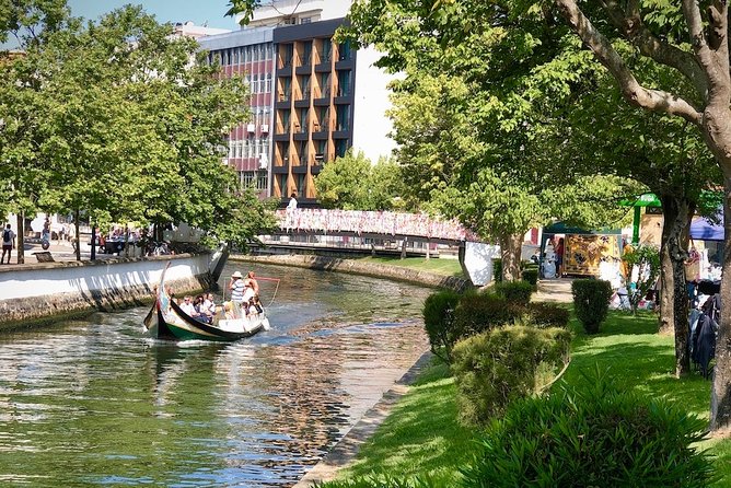 Aveiro Rent a Bike - 4 hours - Your 4 hours in Aveiro: pick a loop, not a mission