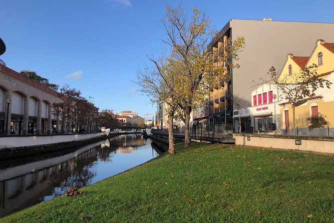 Aveiro Rent a Bike - 4 hours - Gear check: helmets, lock, and smart storage