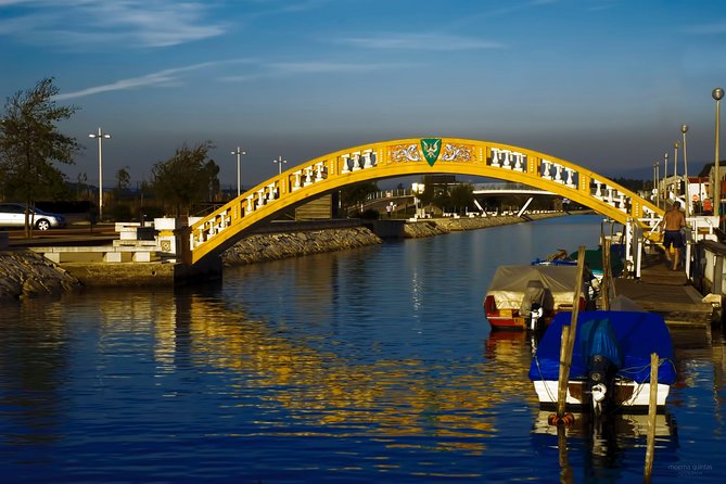 Aveiro Small-Group: Half Day Tour with Boat Ride - Moliceiro Boat Ride on the Ria de Aveiro: The Main Moment
