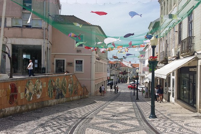 Aveiro Small Group Tour with Typical Boat Ride, offer wine bottle - Should you book this Aveiro tour?