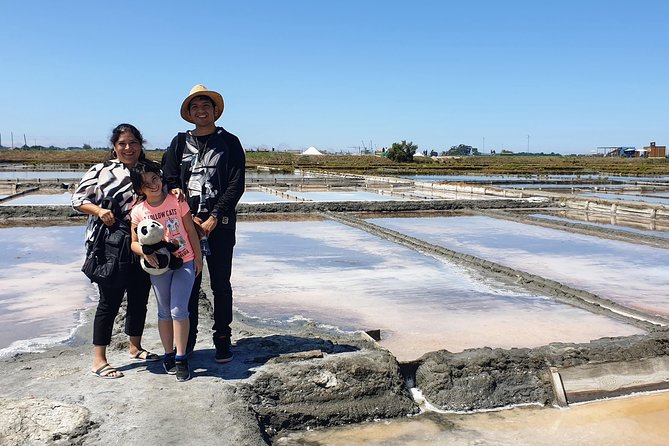 Aveiro Small Group Tour with Typical Boat Ride, offer wine bottle - Value: why $114.39 can feel fair for a half-day structured day