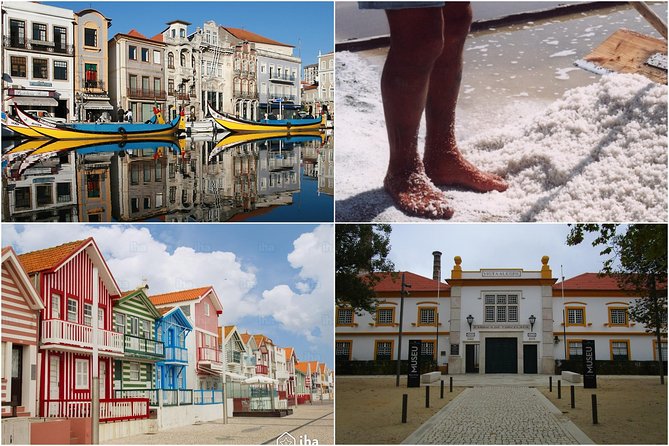 Aveiro Tour Small group, Moliceiro Cruise, Costa Nova, Vista Alegre & Lunch - Key Highlights You’ll Actually Feel