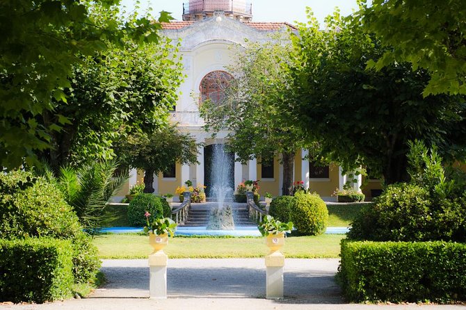 Bairrada Private Tour (Luso & Curia Villages) with Wine Tasting - Luso: thermal waters, relaxed wandering, and photo-friendly calm
