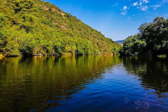 Best of Douro Valley Wine Full Day Private Tour - Key Things I Think You’ll Appreciate Most