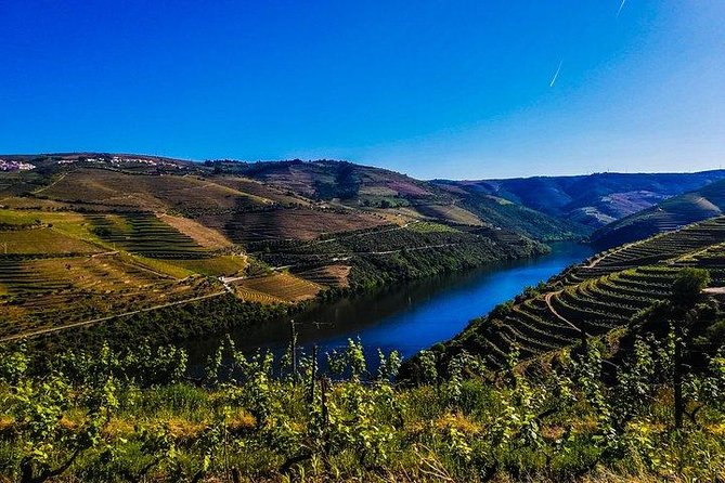 Best of Douro Valley Wine Full Day Private Tour - Pickup From Porto: Where the Day Actually Starts
