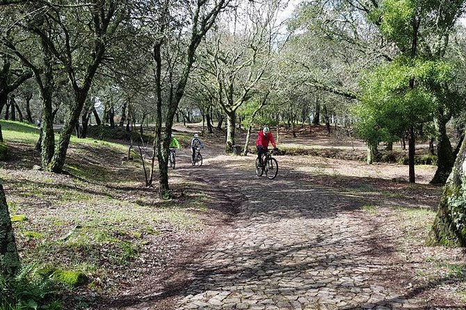 Bicycle rental in Porto for the Santiago de Compostela Road - How the Ride Feels on the Portuguese Way Segment