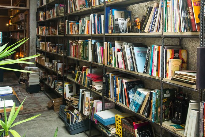 Bio/Organic Wine Tasting and Food Pairing with Wine Producer - Térmita in Porto: part wine bar, part bookstore, part art stop