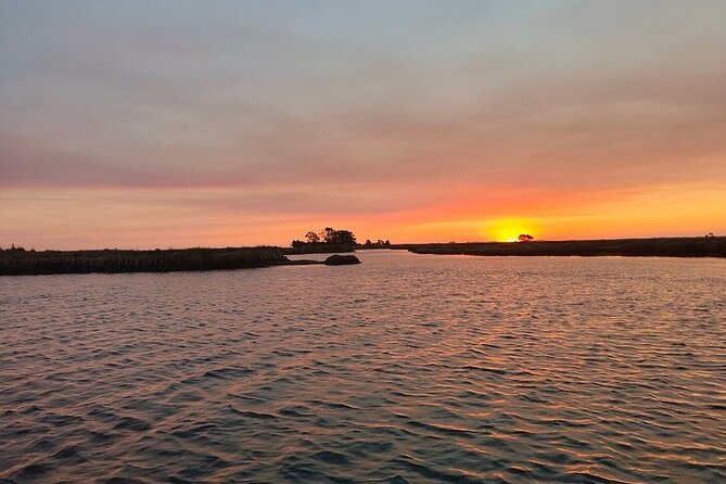 Boat tour of the highlights of the Ria - Key Points to Know Before You Go