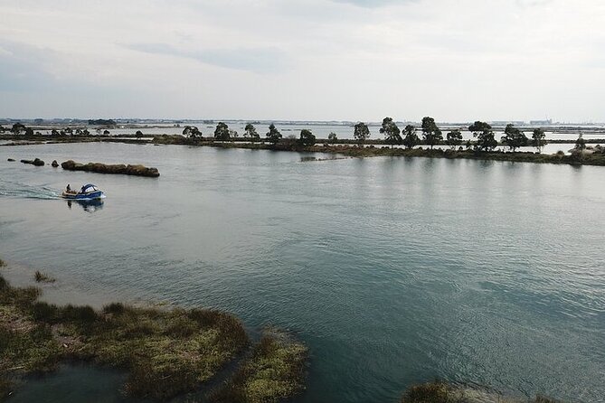 Boat tour of the highlights of the Ria - Price and Value for a 1–2 Hour Highlights Cruise