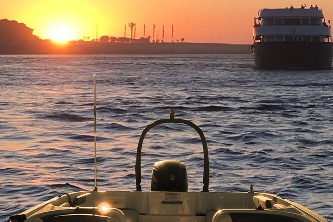 Boat Trip in Douro Porto - Why this Douro boat trip feels more like time off than a tour