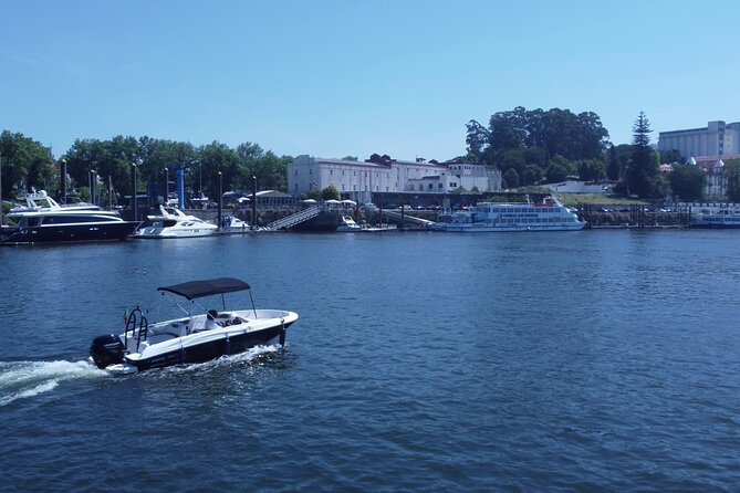 Boat Trip in Douro Porto - Stop 2: Ponte D. Maria Pia and the story you can feel
