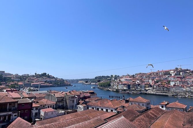 Boutique Port Wine Tour in Gaia with Rooftop Views - Who This Tour Fits Best