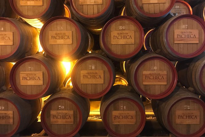 Braga and Guimarães Full Day Tour - Wine cellar tour in Porto: tasting with stories, not just samples