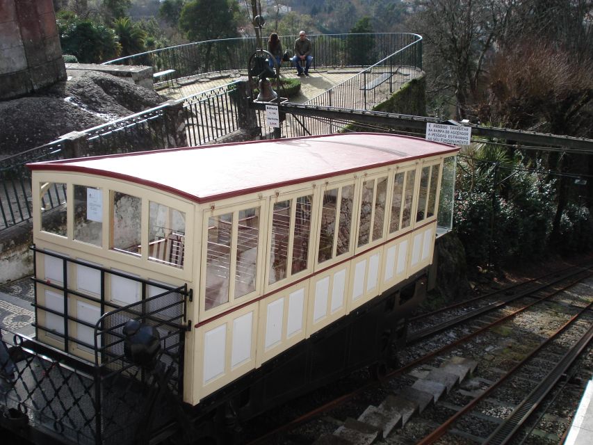 Braga Half-Day Walking Tour & Bom Jesus Sanctuary with Guide - Pace, Timing, and What 3 Hours Feels Like in Real Life