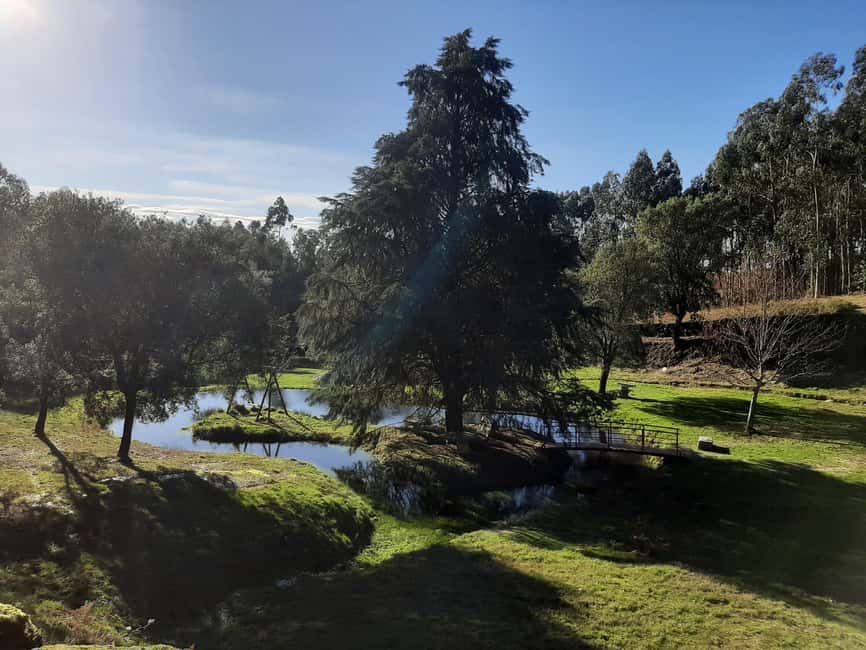Braga or Gerês: a private, tailor-made nature experience with a French-speaking host - What the meditation, grounding, and astrology add (and what to expect)