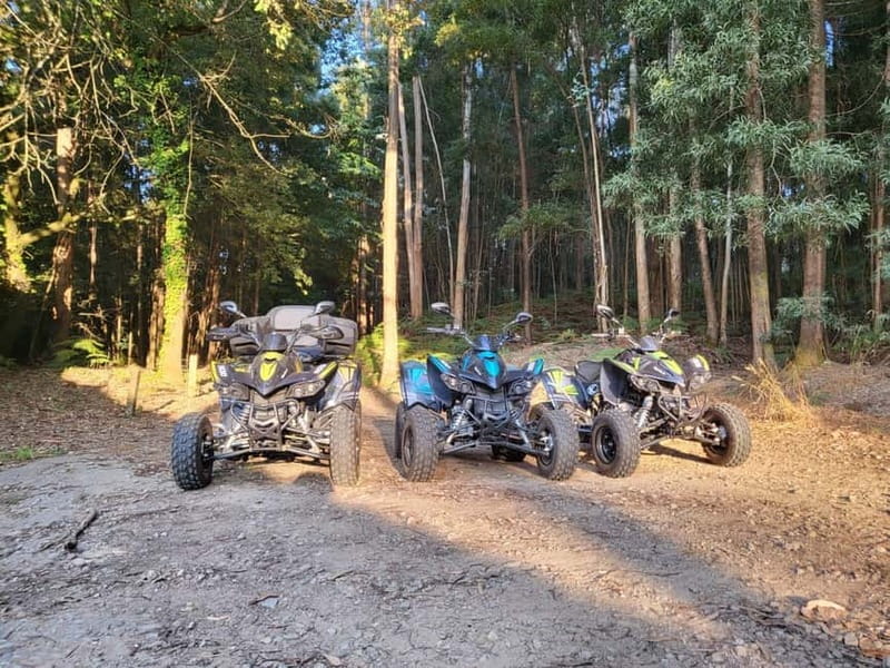 Braga: Quad bike ride, experience the adventure in Braga with Quad Paradise! - What the 1-Hour Ride Actually Feels Like