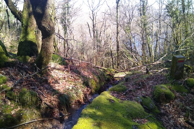 Breathtaking Nature in Gerês Park - Private tour from Porto - When this tour makes the most sense for you