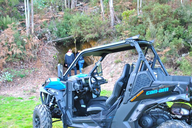 Buggy Experience at Arouca Geopark - Why Arouca Geopark Works So Well for a Buggy Ride