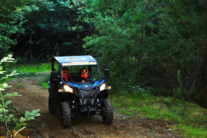 Buggy Experience at Arouca Geopark - Meeting at Estrada do Alto da Portela and Setting Yourself Up